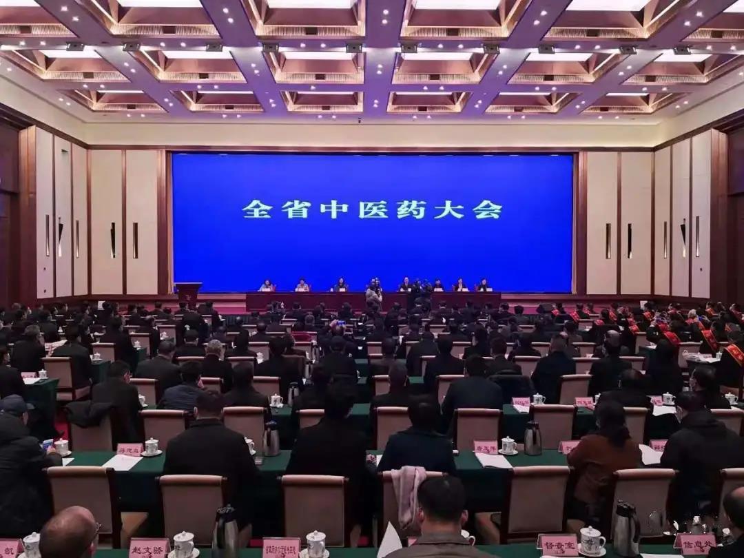 见证盛典，公司应邀参加 湖南省中医药大会